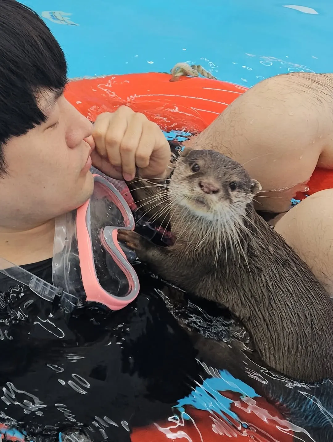 수영 프로그램 중 참가자 옆에서 수달이 가까이 다가온 모습